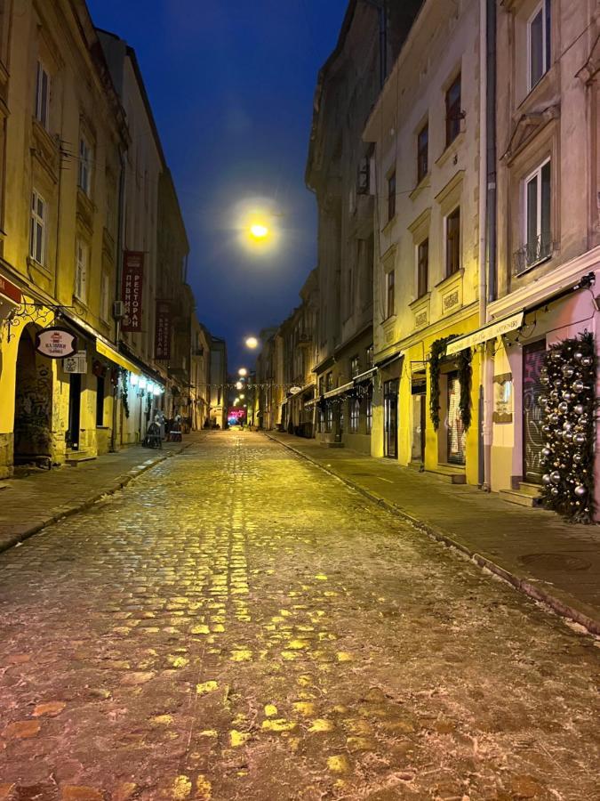 Delux Apartment In Lviv Dış mekan fotoğraf